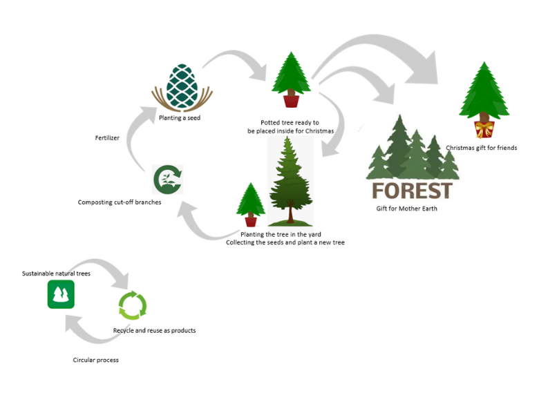Kreislaufwirtschaft am Beispiel eines Weihnachtsbaums
